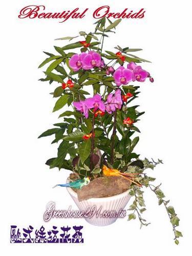 [gtco132] 3轹զX֮~ᩱ.cᩱ