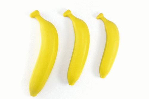 _  Rehabilitation(O)