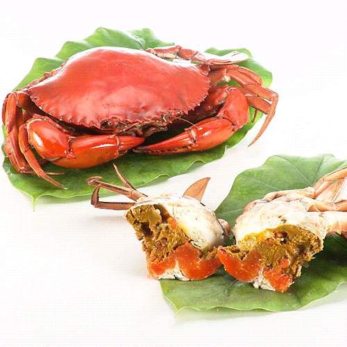 aのEveͲrSŬ-5(C300g)