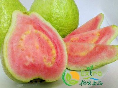 xnj-گ ߪݼ 1x/60 GA۲۾P 