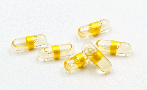 L_޳N SEALING TECHNOLOGY