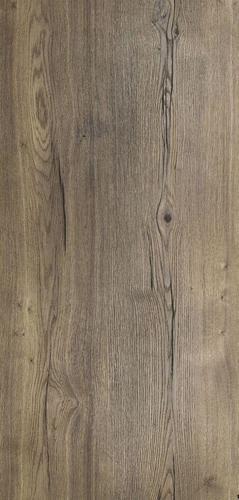 @O N-261(۵M쵲/PB쯾)