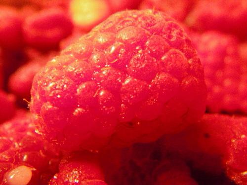 NЬ֤l()  /I.Q.F.RASPBERRY