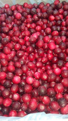 NὯV/I.Q.F.CRANBERRY