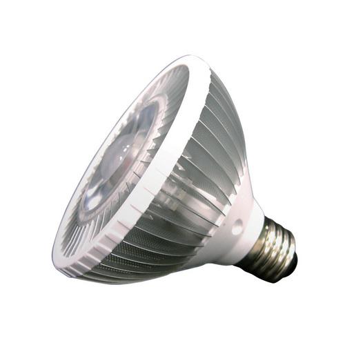 PAR30 10W LED