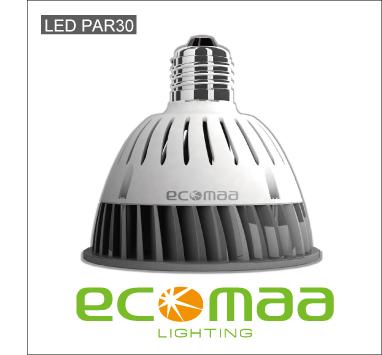 LED PAR30