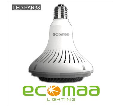 LED PAR38