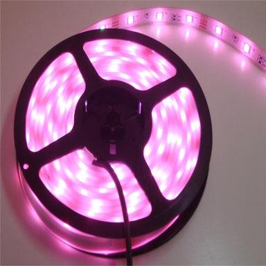 LED Strip Light