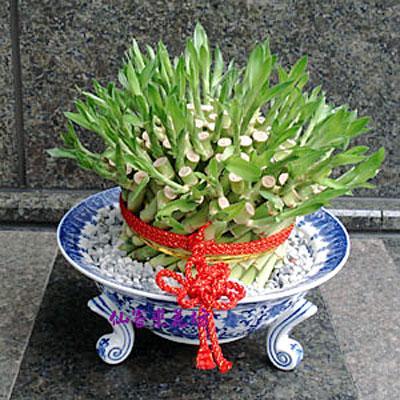 iL-041j}B۰] }Bˬ֮-~@o    