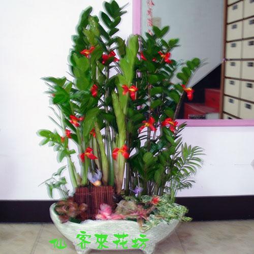 iP-047jP֮-vﯬP֮-}E֮: