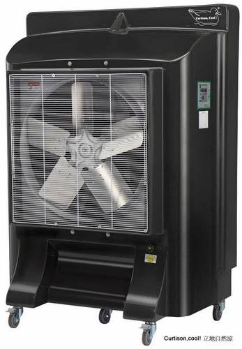 CURTISON,COOL!ƦjN(C400)