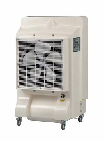 CURTISON,COOL!ƦpN(C200)