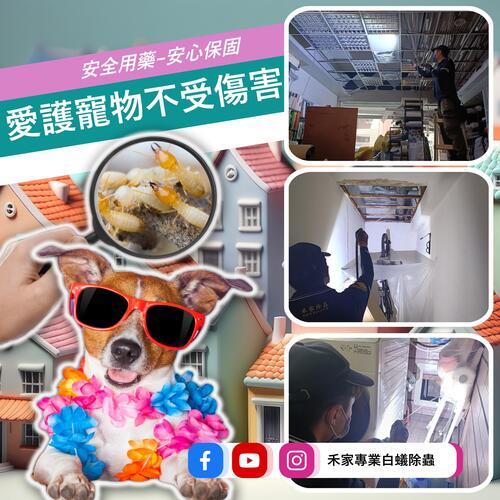 ݮaư-LINEȪAԸ߱Mu0968888551