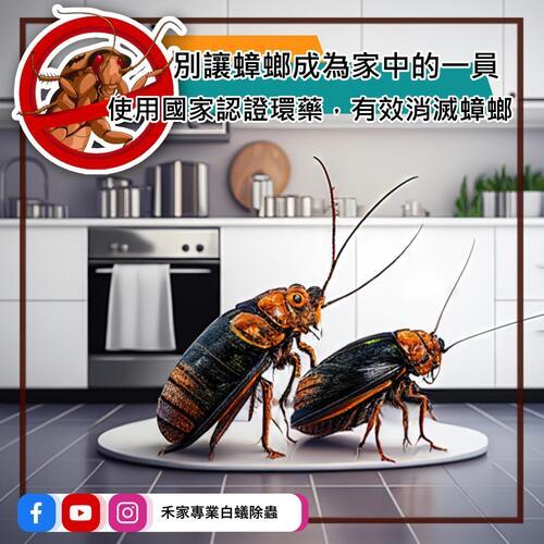 ݮaư-LINEȪAԸ߱Mu0968888551