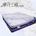 BN-530 樂符三線530型