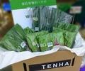 有機蔬菜套組(葉菜類) 5袋1份/175元 新鮮有機蔬菜 絕