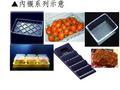 食品相關內襯(盒)