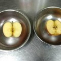 吉聖活力鮮