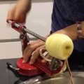 3合一削皮機-削皮去心切片