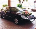 福利租車~結婚禮車~ 