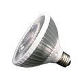 PAR30 10W LED