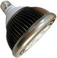 15W LED PAR38