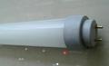LED T8 日光燈管-CE認證