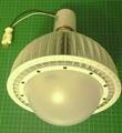 LED 大木瓜燈  85W  E40