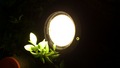 LED 戶外投射燈