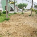 空中花園規劃施工