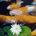 油畫
