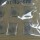 DSSC染料敏化太陽能電池材料 代銷永光化學D719 D907染料.鈦漿
